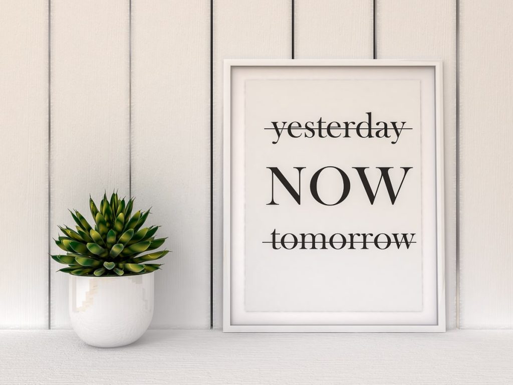 white sign with black text beside small green plant living in the present
