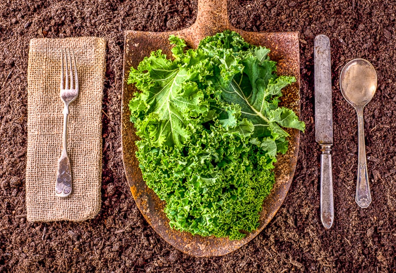 kale leaves on wooden cutting board with utensils beside