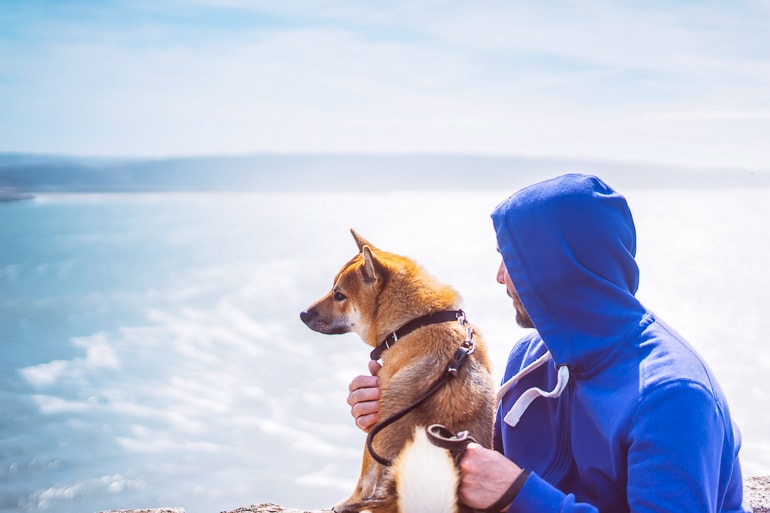 Man with blue sweater and dog with blue background