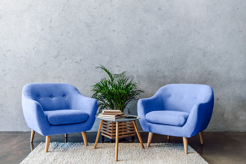 blue chairs with green plant and table between on white rug