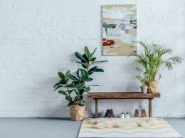 Wood bench with plants and shoes in front of white brick wall with photo minimalist design tips